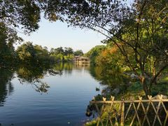 -西湖外事游船(花港观鱼码头)