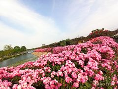 -上海辰山植物园