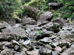 -龙湾潭国家森林公园