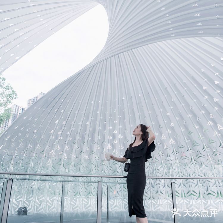 解锁鹦鹉螺｜开启有光的生活