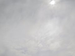 -7号院家宴.烧鸽子(门头沟店)
