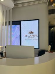 -BELLAREAL新美社