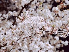 -龙美术馆(西岸馆)