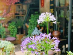 -全有福烙锅店小院