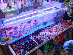 -山东柏宁水族批发广场