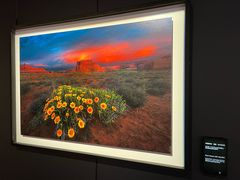 -罗红摄影艺术馆