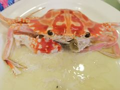 -方记洪阳餐厅(福田新村店)