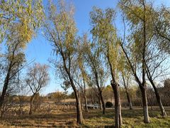 -昆山城市生态森林公园