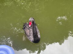 -千岛湖东南湖区