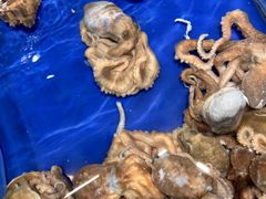 -三亚火车头万人海鲜广场