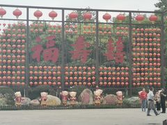 -合肥滨湖国家森林公园