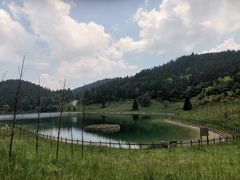 -武陵山森林公园