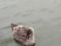 -东华大学(松江校区)