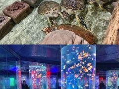 -杭州海底世界