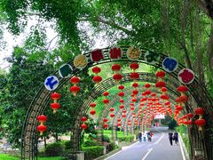 -大屏嶂森林公园
