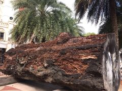 -海口骑楼小吃街