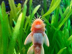 -上海海洋水族馆