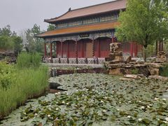 -曹州牡丹园