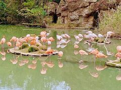 -宁波野生动物园
