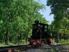 -上海浦江郊野公园-5号停车场