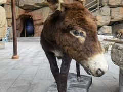 -游龙石文化科普馆