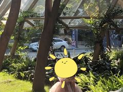 -成都市活水公园