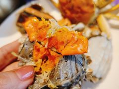 大闸蟹-初色海鲜自助(朝阳北路店)