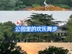 -中山公园