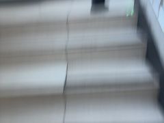 -湖锦酒楼·旗舰店(三阳总店)
