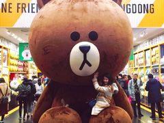 -line friends(明洞旗舰店)