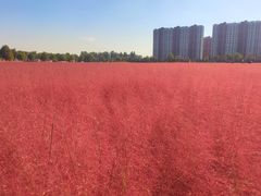 -北京鹿世界主题园