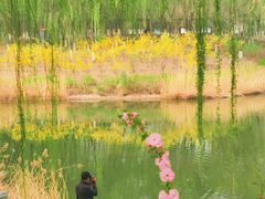 -大兴滨河森林公园