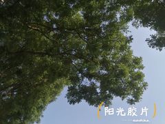 -半坡国际艺术区