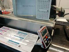 -文府路口(Taiwan High Speed Rail Zuoying Station)