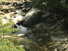-少华山国家森林公园