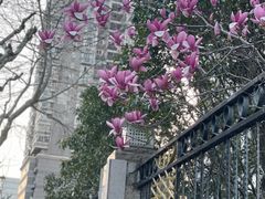 -徐家汇源景区-衡山公园