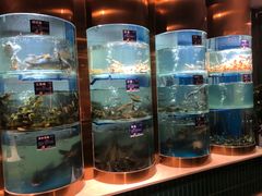 -香坝坝鲜鱼火锅(春熙路店)