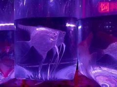 -华声天桥民俗文化园