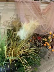 -US•美甲艺术 | 冕光