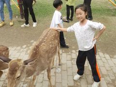 -广东花都香草世界旅游度假区