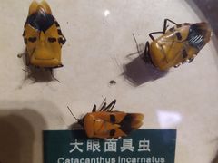 -陕西自然博物馆