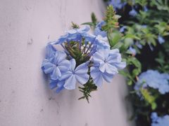 -和顺古镇