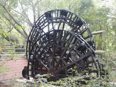 -大屏嶂森林公园