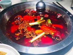 -孙毛肚火锅(春熙路店)