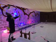 -宁波冰雪大世界(北仑区)