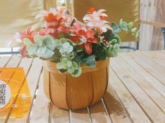 -CAMP.33露营烤肉·团建聚餐(创智天地店)