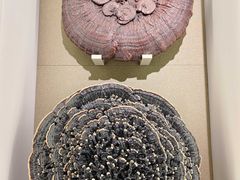 -北京中医药大学-中医药博物馆