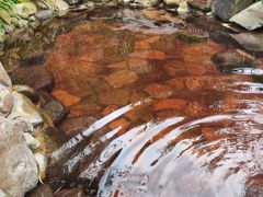 -天芳悦潭度假村温泉