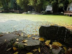 -塔子山公园