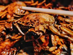 -食鸡公社辣子鸡·潍坊菜·烧烤